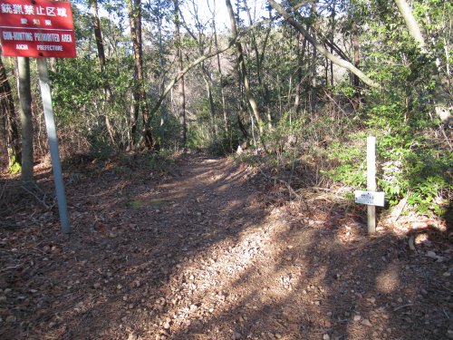 登山道